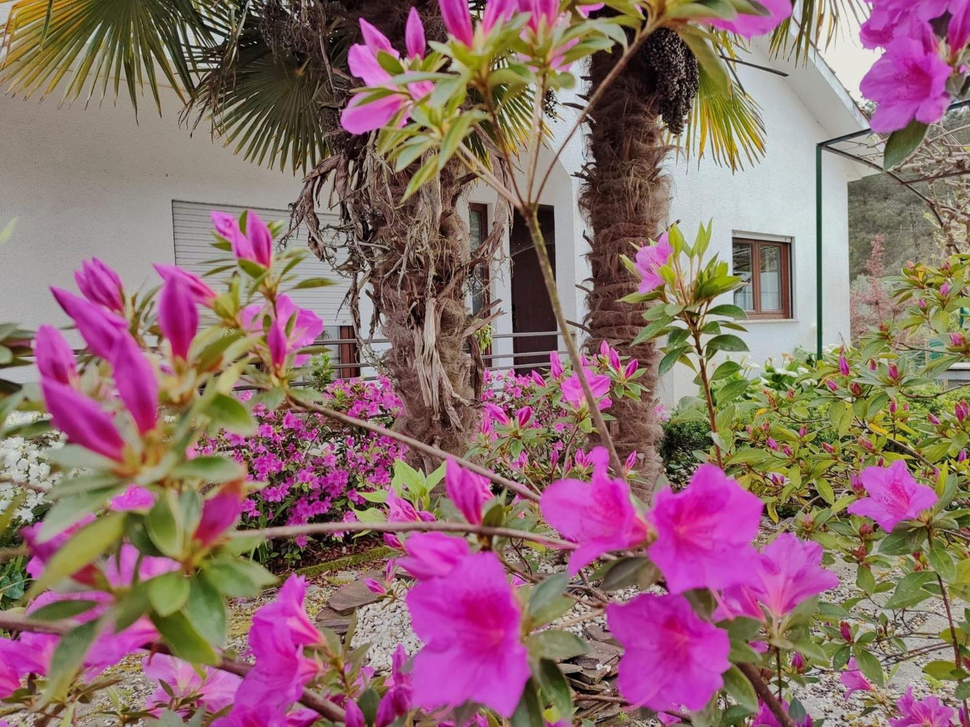 Ecorustics - Casa Estevao Holiday home
